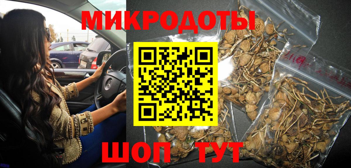 Псилоцибиновые грибы Psilocybe  Вход с VPN  Псилоцибиновые грибы Cubensis  Благовещенск 