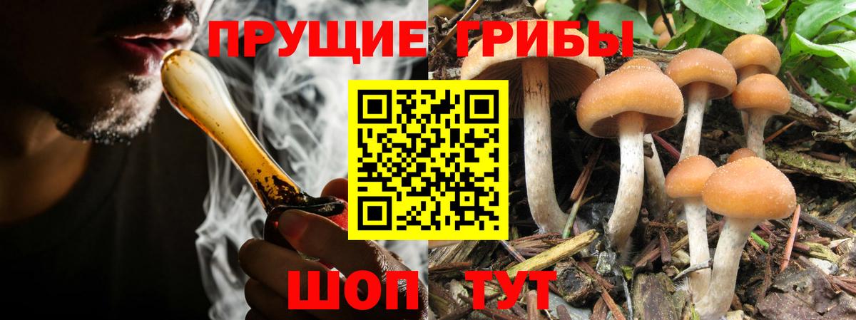 Псилоцибиновые грибы MAGIC MUSHROOMS Благовещенск